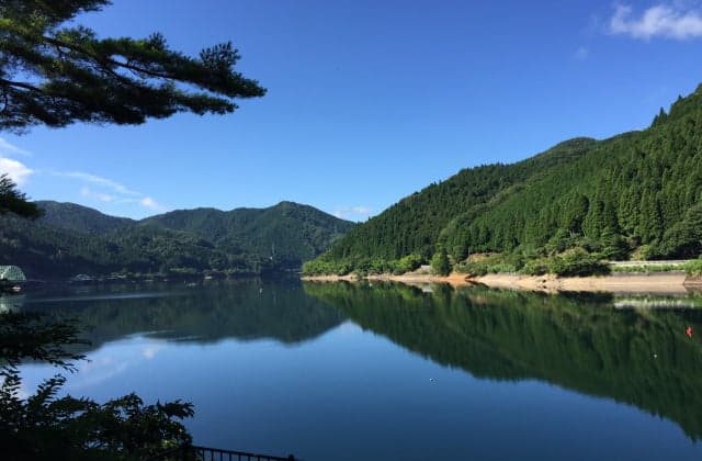 美しい緑と青の季節