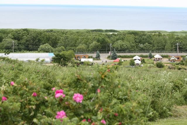 はまなすフェア