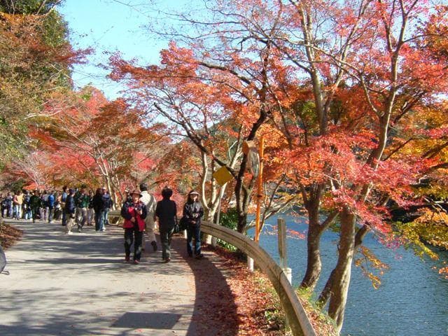 鎌北湖の紅葉