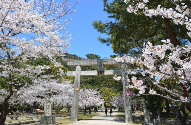Hagi Castle Ruins Shizuki-koen Park