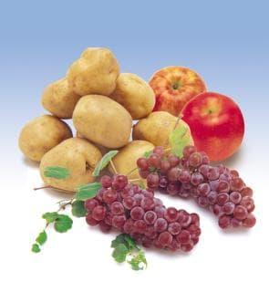 Shiga-cho Togi Experimental Farm