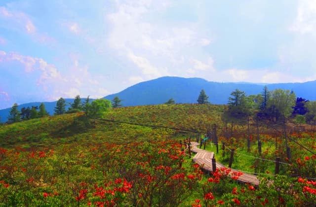 Mt. Amari
