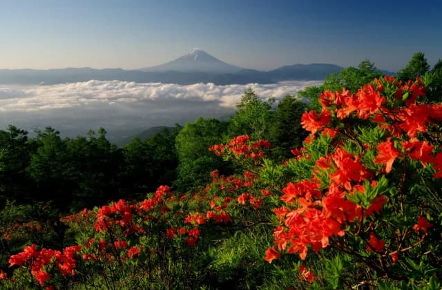 Mt. Amari