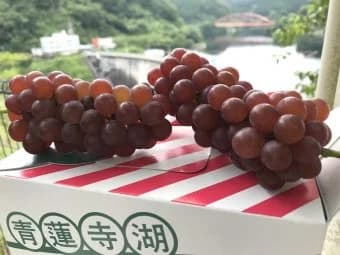 ぶどうと青蓮寺湖