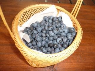 ブルーベリーファーム中田