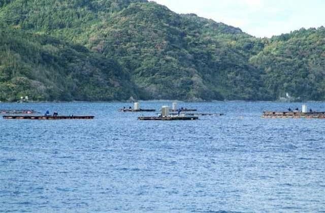 Nonamise Fishing Deck