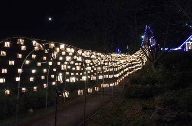 ウッドランタンのイルミネーション