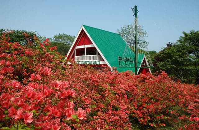広尾サンタランド エゾヤマツツジ