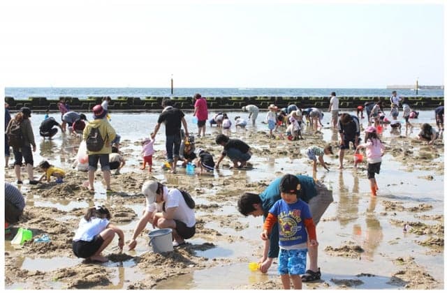 Nishikinohama clamming