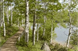 Furen Bokodai Nature Park Campground
