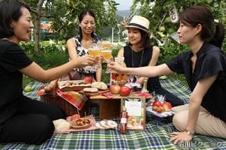 Numata Picnic