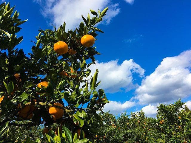 Shimonoseki-shi 2019.4-9