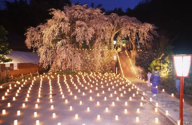 Candle illumination
