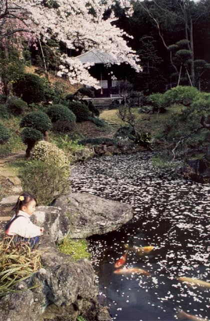 Choraku-ji Temple