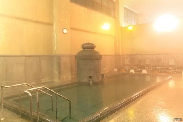 道後温泉 椿の湯