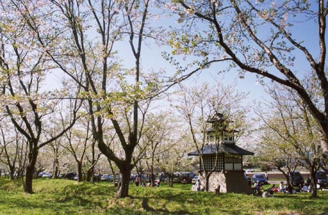Tate Castle Ruins Park