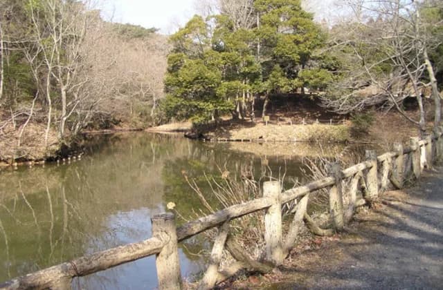 茨城県民の森