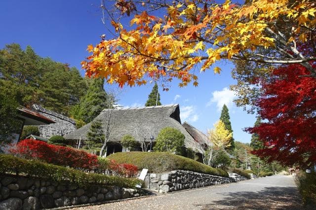 Hometown Travel Village