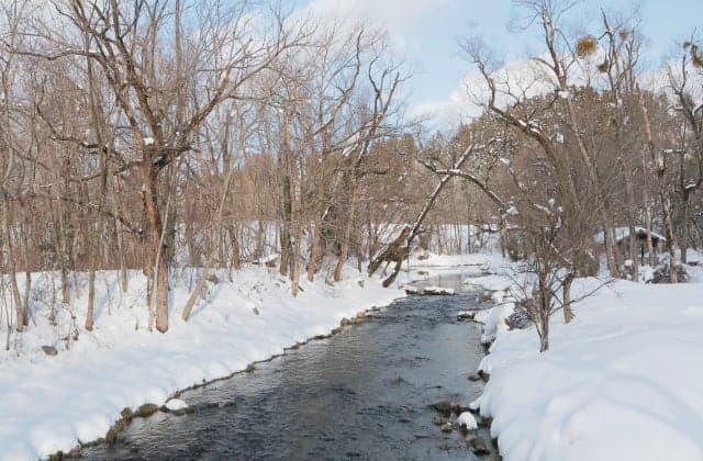 Hakanoki Nature Park 3