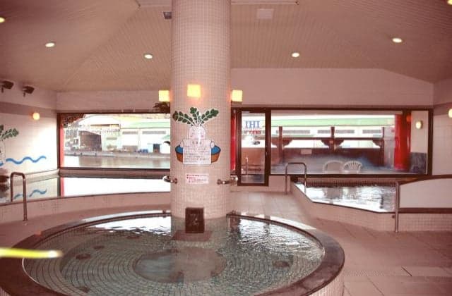 Natural Radon Izumi Pelon Hot Spring