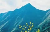 Mt. Shakagatake