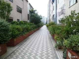 Momozono River Green Road