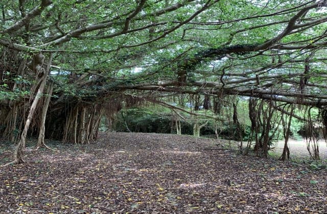 浜田藤太郎記念七色観望台