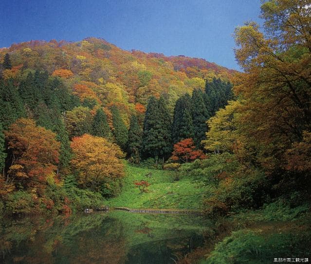 Kanamezawa Forest Park