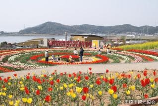 Santepalk Tahara