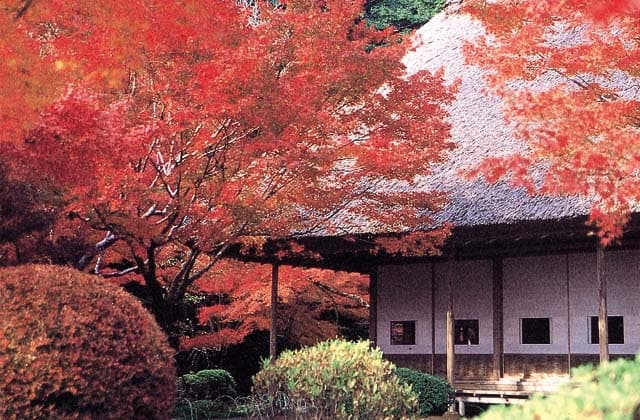九年庵(旧伊丹家邸宅)