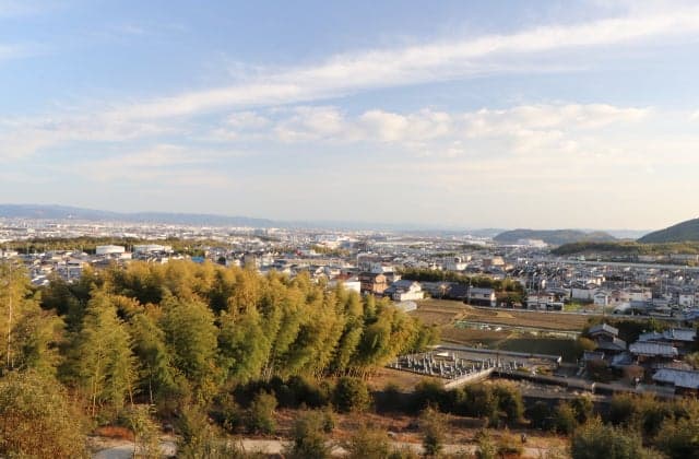 View from the precincts