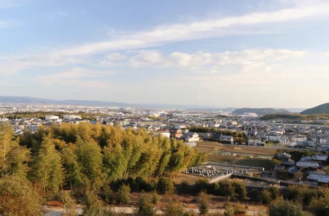 View from the precincts