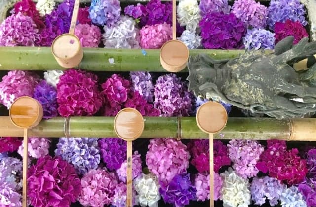 Yanagiya Kannon Hanatemizu of Yang-dani Temple