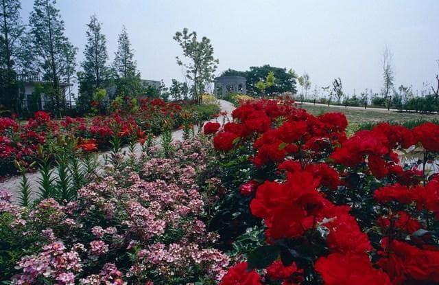 English garden