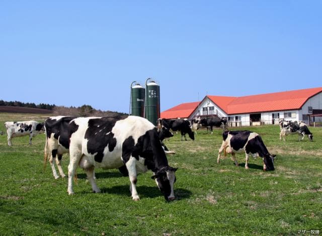 Mother Farm Barn