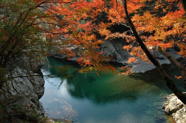 Autumn leaves in the Mitate Valley