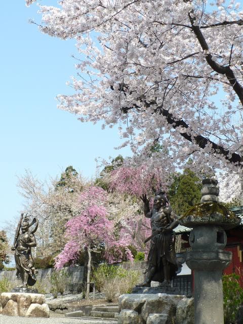 Shinkoji Garden