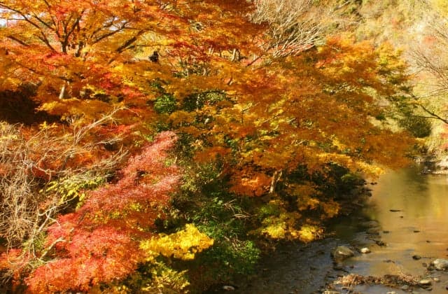 Momiji Road (Funato-bashi Bridge: commonly known as the maple stamp)