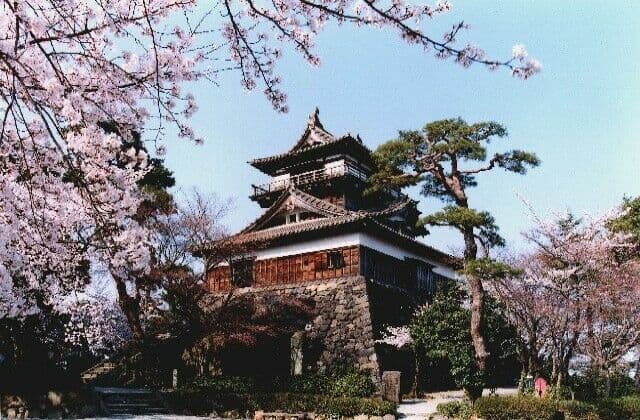 霞ヶ城公園の桜