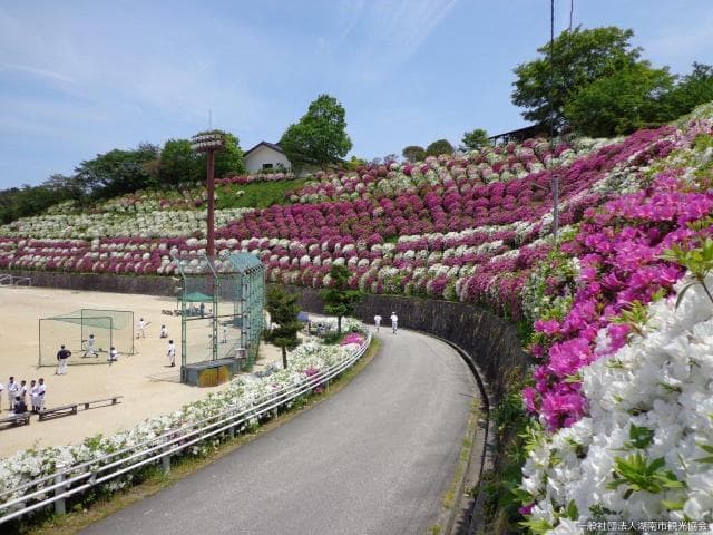 Ameyama Culture Sports Park
