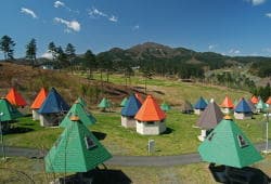 オートキャンプ場 ツリーハウス