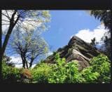 Omizo Castle Ruins