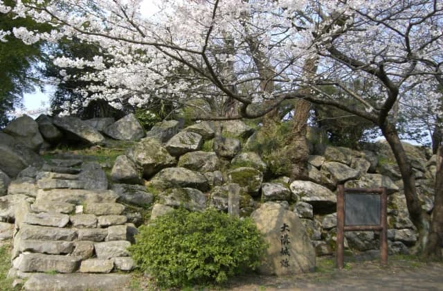 Omizo Castle Ruins
