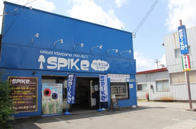 SPIKe ②