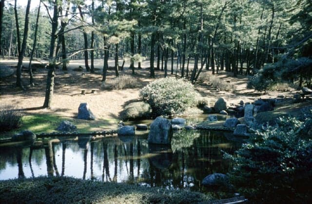 Mikuni-cho Seaside Nature Park
