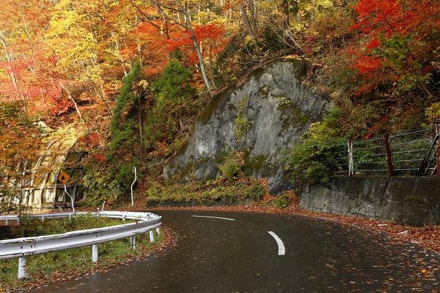 Autumn leaves at Sakanashi Pass (1)