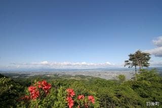 Observations from Miharashiso