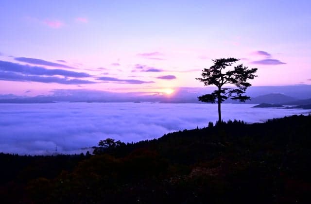 Sea of clouds in Miharashiso
