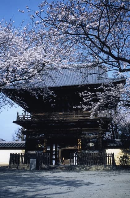 Ryukai-in Temple