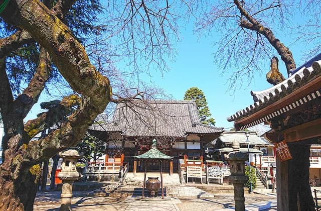 Arai Yakushi Umesho-in Temple